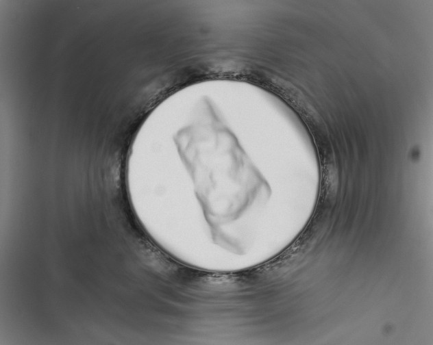 X0000116760668201001141431