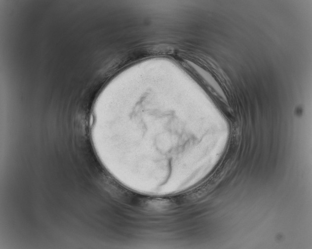 X0000116760669201001141431