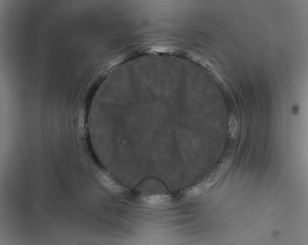 X0000116760670201001141431