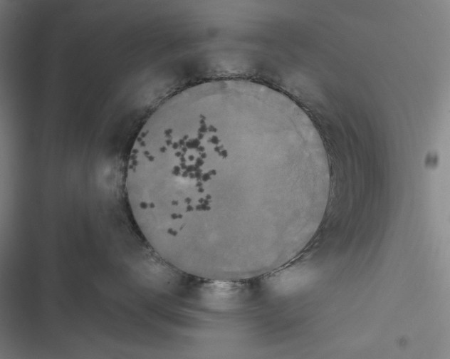 X0000116760672201001141431