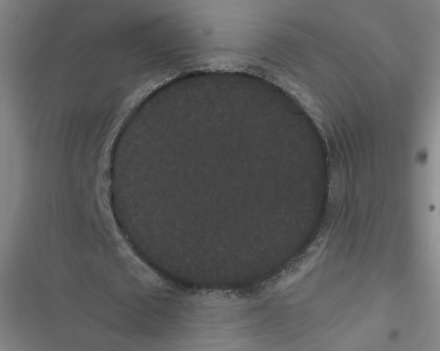 X0000116760673201001141430