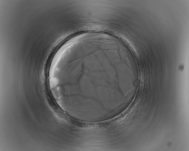 X0000116760674201001141430