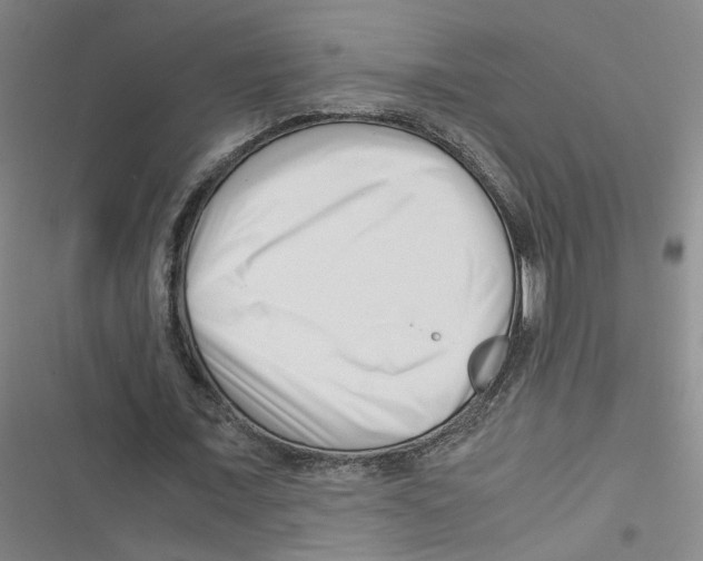 X0000116760675201001141430