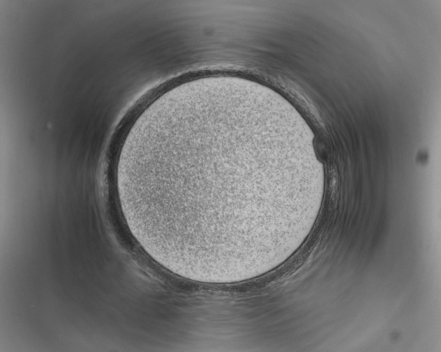 X0000116760676201001141430