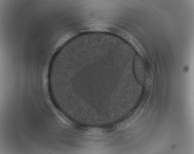 X0000116760677201001141430