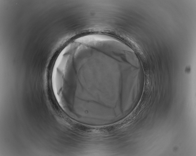 X0000116760678201001141430