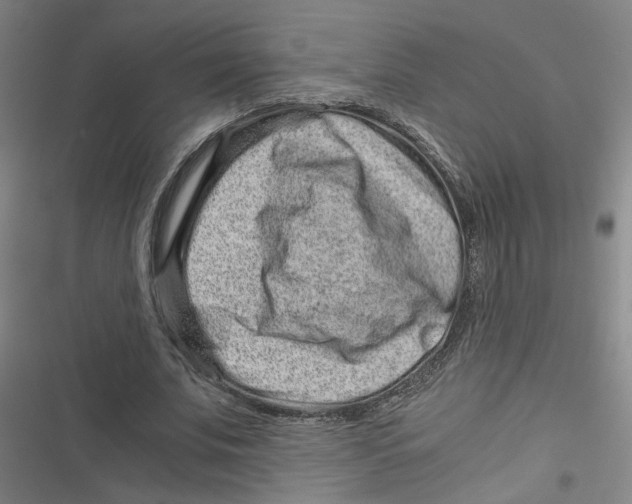 X0000116760679201001141430