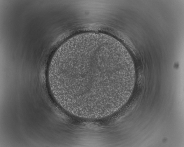 X0000116760681201001141430