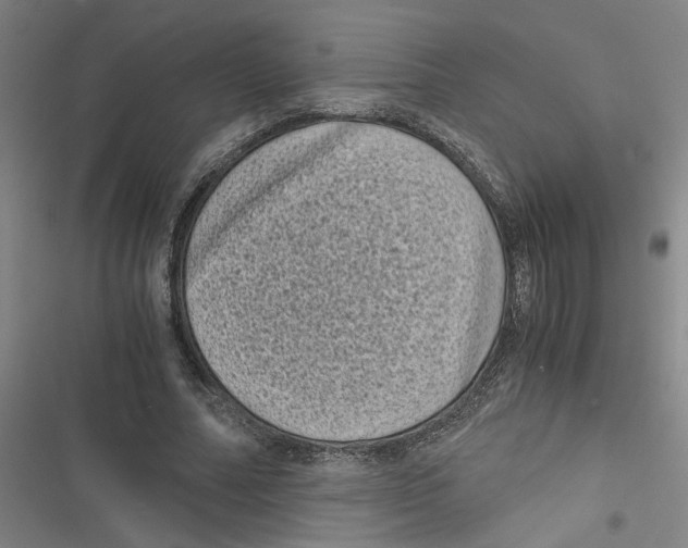 X0000116760682201001141430