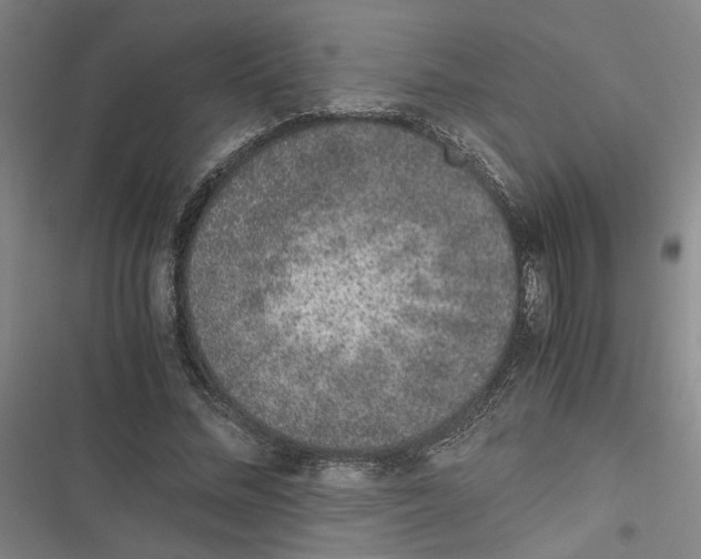 X0000116760684201001141430