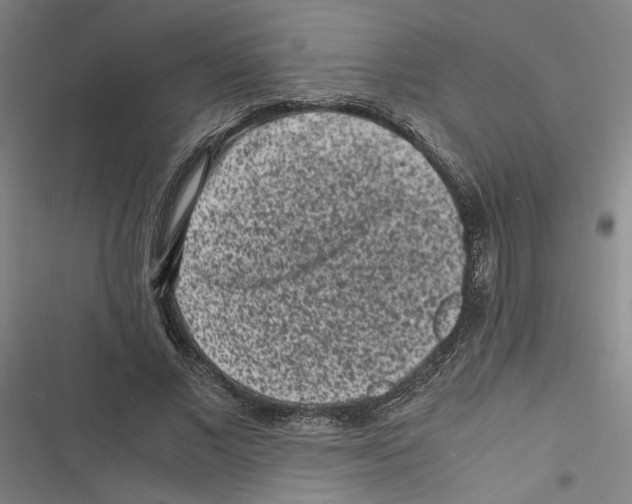 X0000116760685201001141430