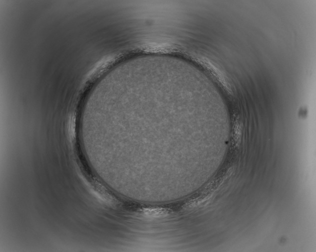 X0000116760686201001141430