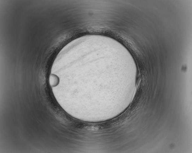 X0000116760687201001141430