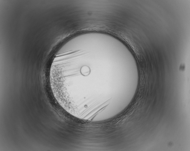 X0000116760688201001141430