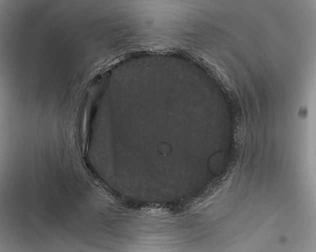 X0000116760689201001141430