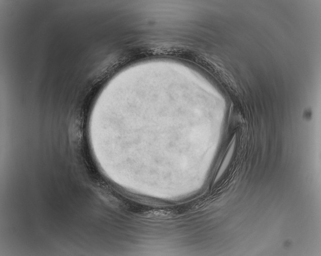 X0000116760691201001141430