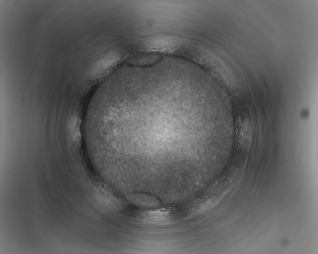 X0000116760692201001141430