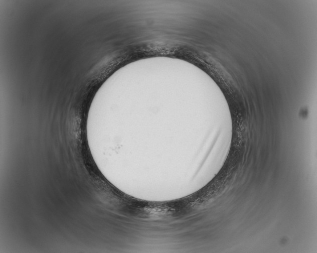 X0000116760693201001141430