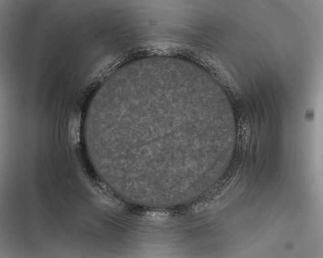 X0000116760694201001141430