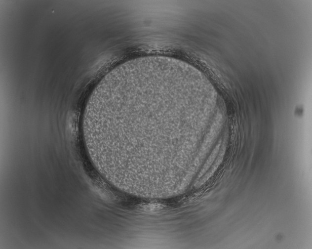 X0000116760695201001141430