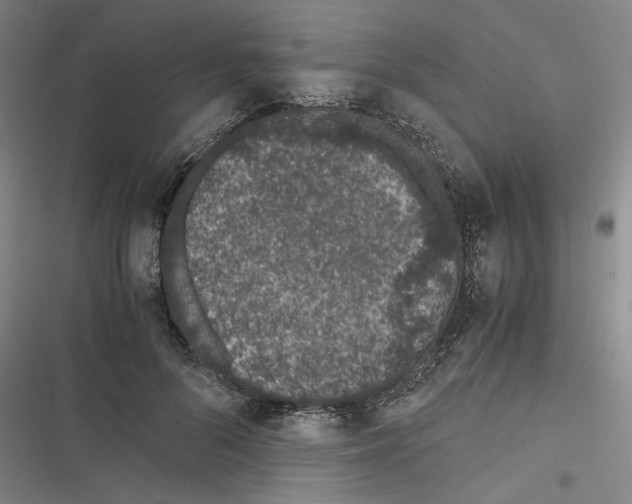 X0000116760696201001141430