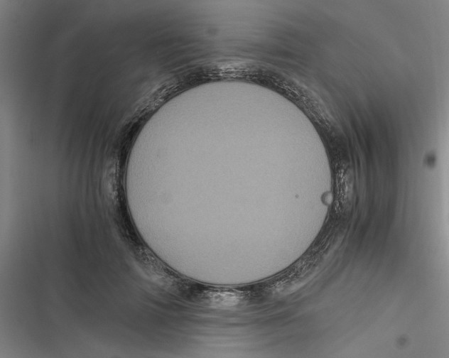 X0000116760698201001141430