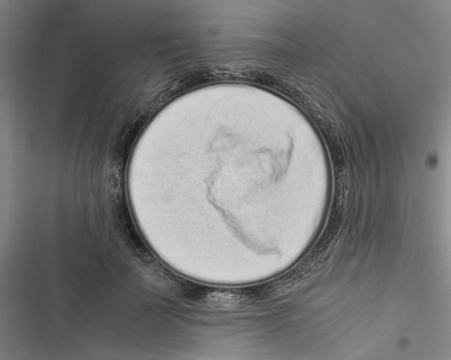 X0000116760699201001141430