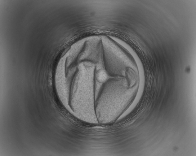 X0000116760700201001141430