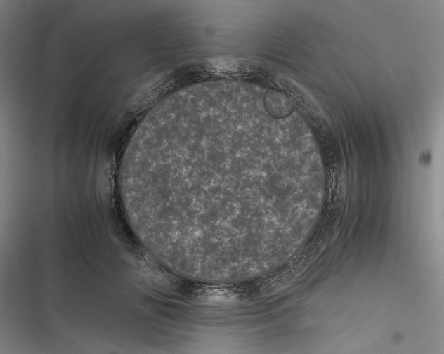 X0000116760702201001141430