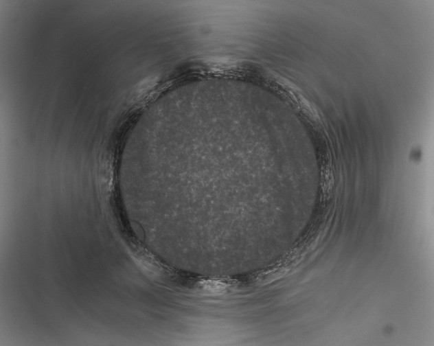 X0000116760703201001141430