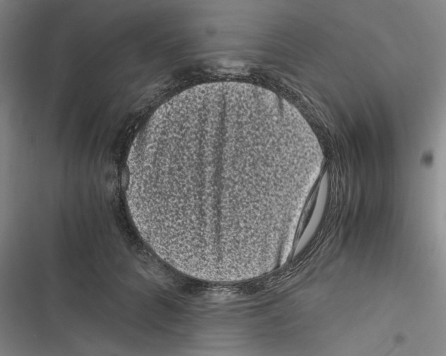 X0000116760704201001141430