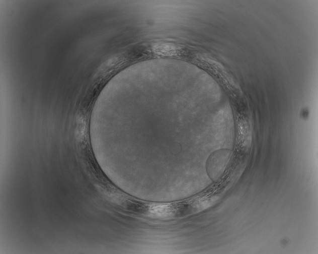 X0000116760705201001141430