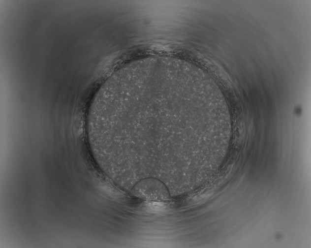 X0000116760706201001141430