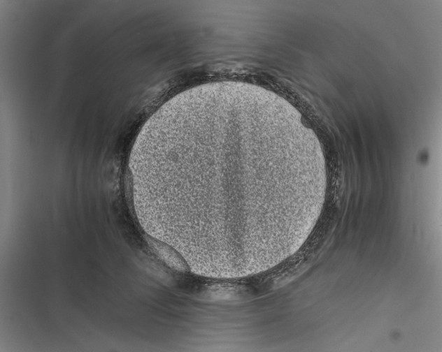 X0000116760708201001141430