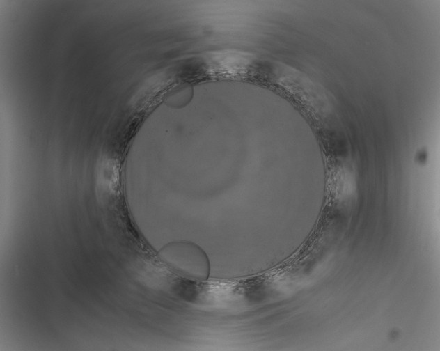 X0000116760709201001141430