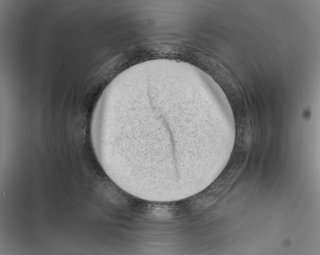 X0000116760710201001141430