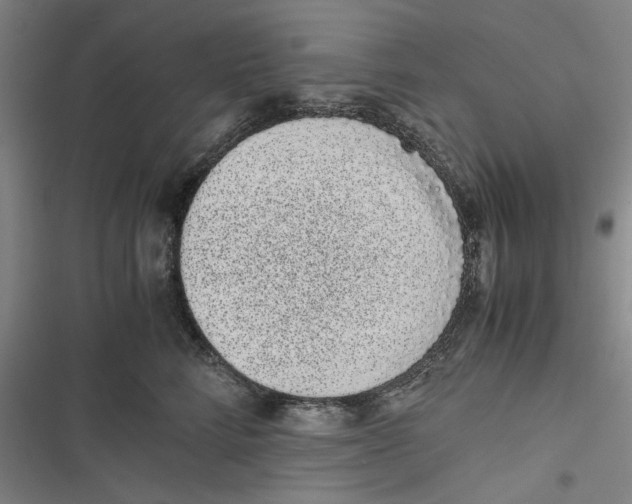 X0000116760712201001141430