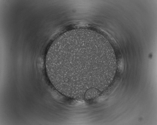 X0000116760715201001141430