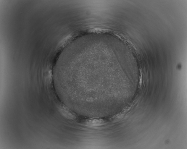 X0000116760716201001141430