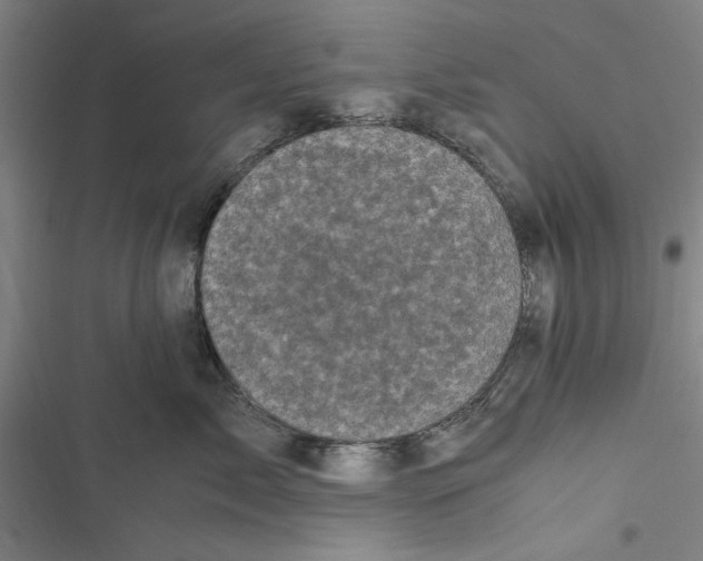 X0000116760717201001141430