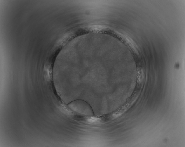 X0000116760718201001141430