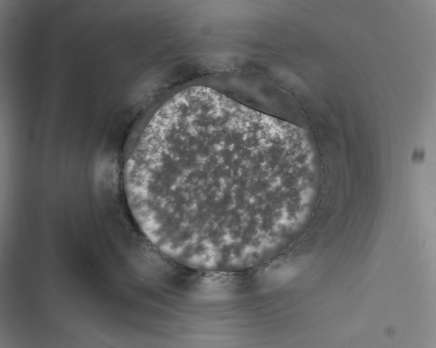 X0000116760720201001141430