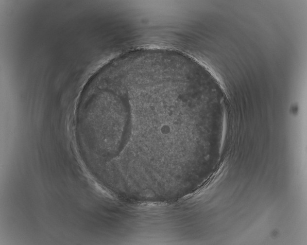 X0000116760721201001141429