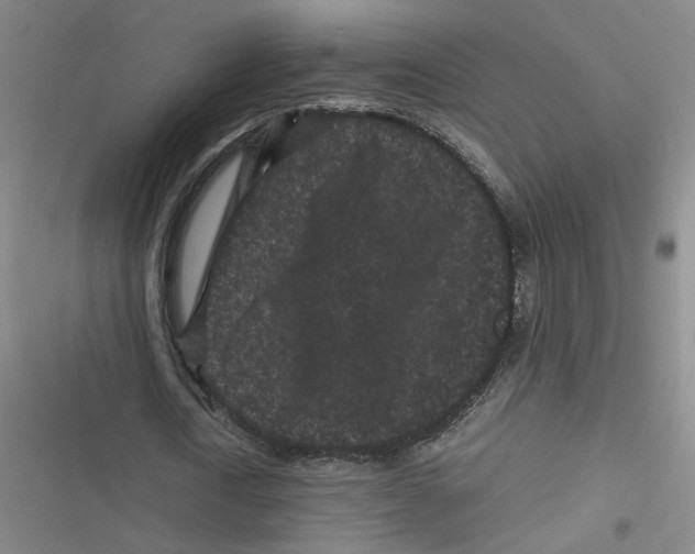 X0000116760722201001141429