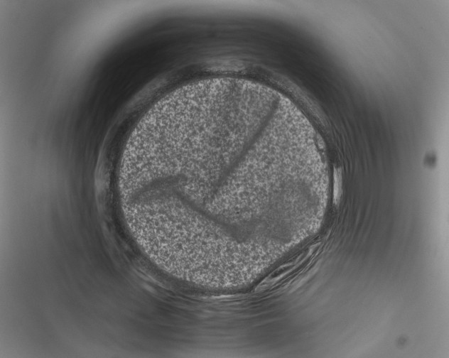 X0000116760723201001141429