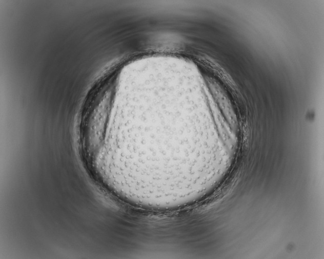 X0000116760725201001141429