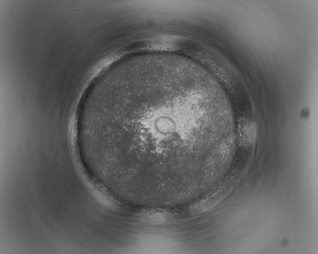 X0000116760726201001141429