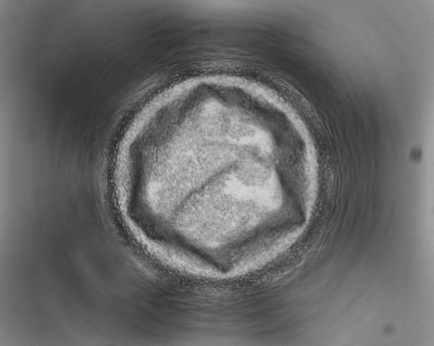 X0000116760729201001141429