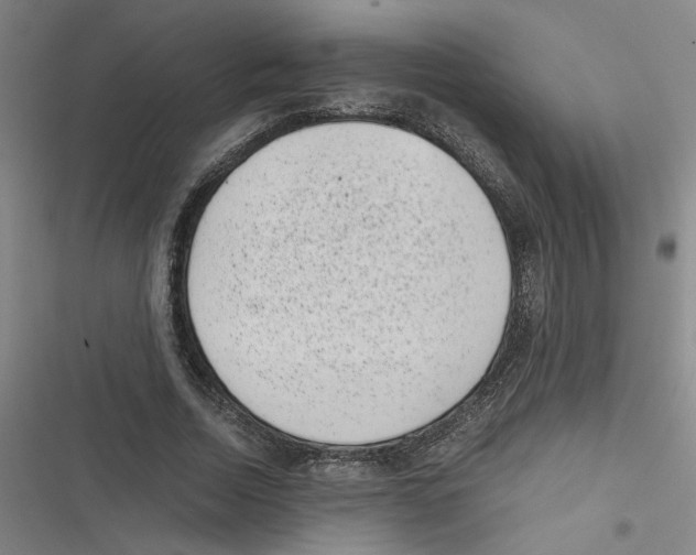 X0000116760730201001141429