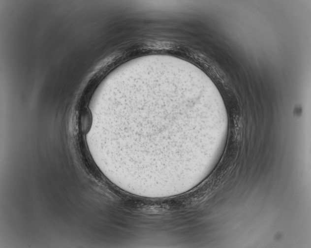 X0000116760731201001141429